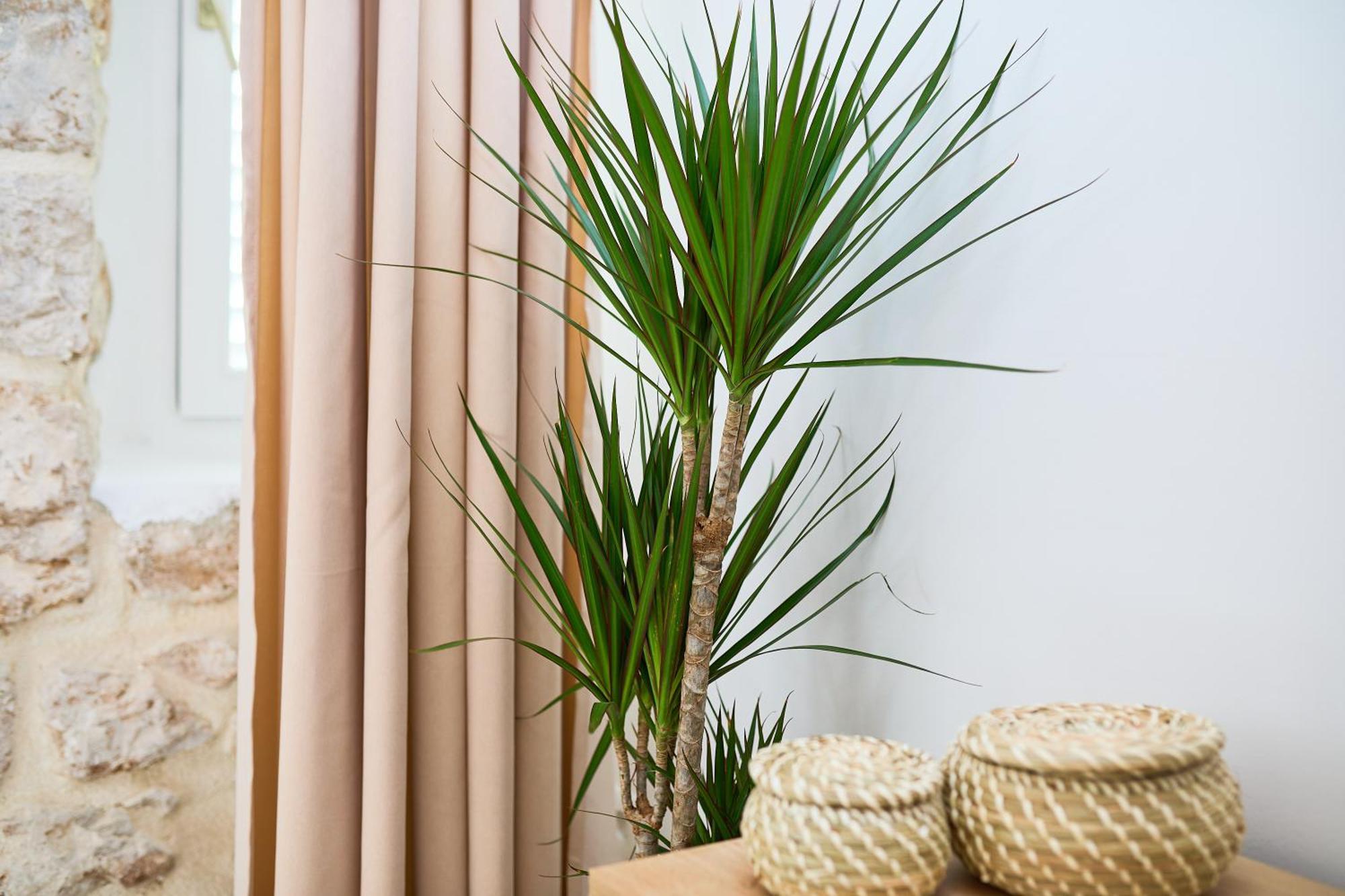 Apartment Iza Grada 杜布罗夫尼克 外观 照片